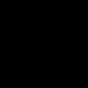 Meet your Posher, Jane